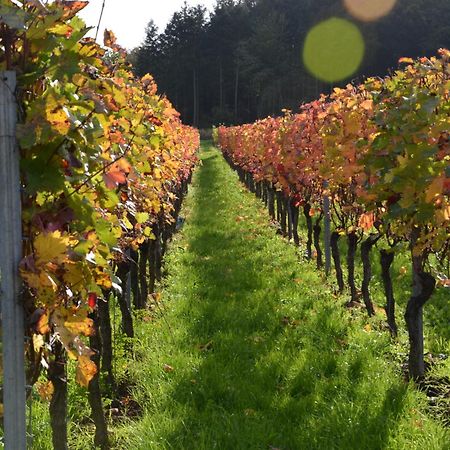 Апартаменти Ferienweingut Gansen / Hochgenuss 1 Ернст Екстер'єр фото