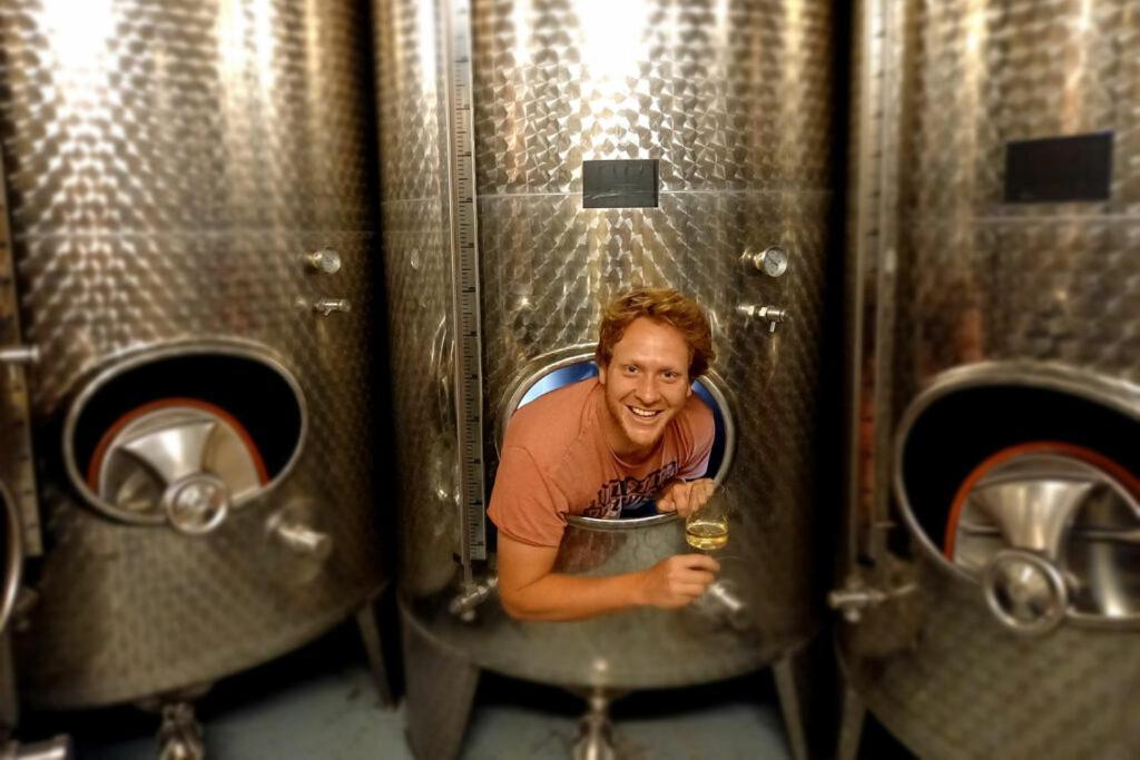Апартаменти Ferienweingut Gansen / Hochgenuss 1 Ернст Екстер'єр фото